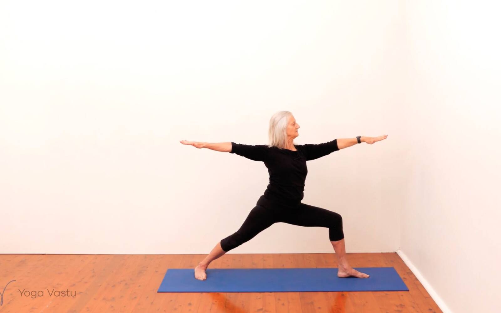 Online Iyengar yoga videos | Standing Pose Foundations with Introduction to Twists (Beginners)