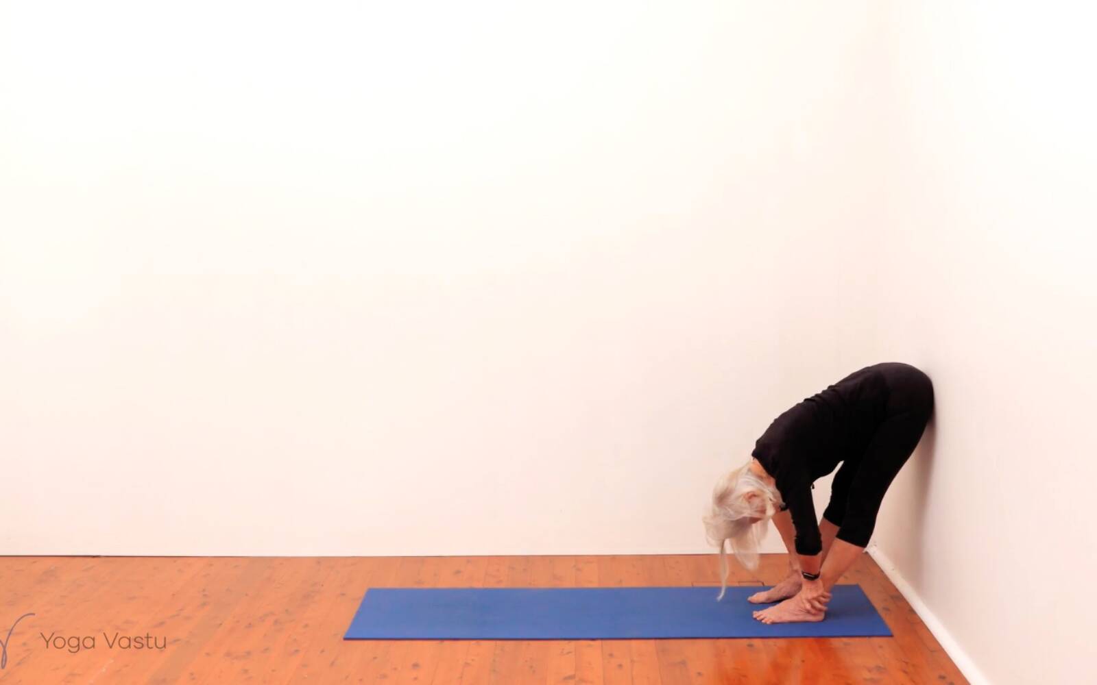 Online Iyengar yoga videos | Standing Pose Foundations with Introduction to Twists (Beginners)