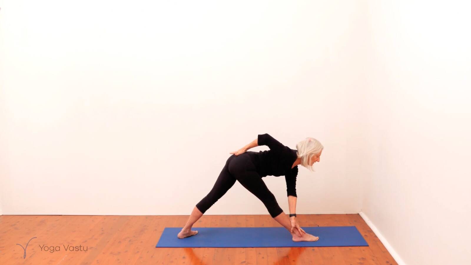 Standing Pose Foundations with Introduction to Twists (Beginners)