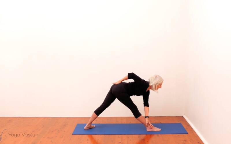 Online Iyengar yoga video thumbnail: Standing Pose Foundations with Introduction to Twists (Beginners)