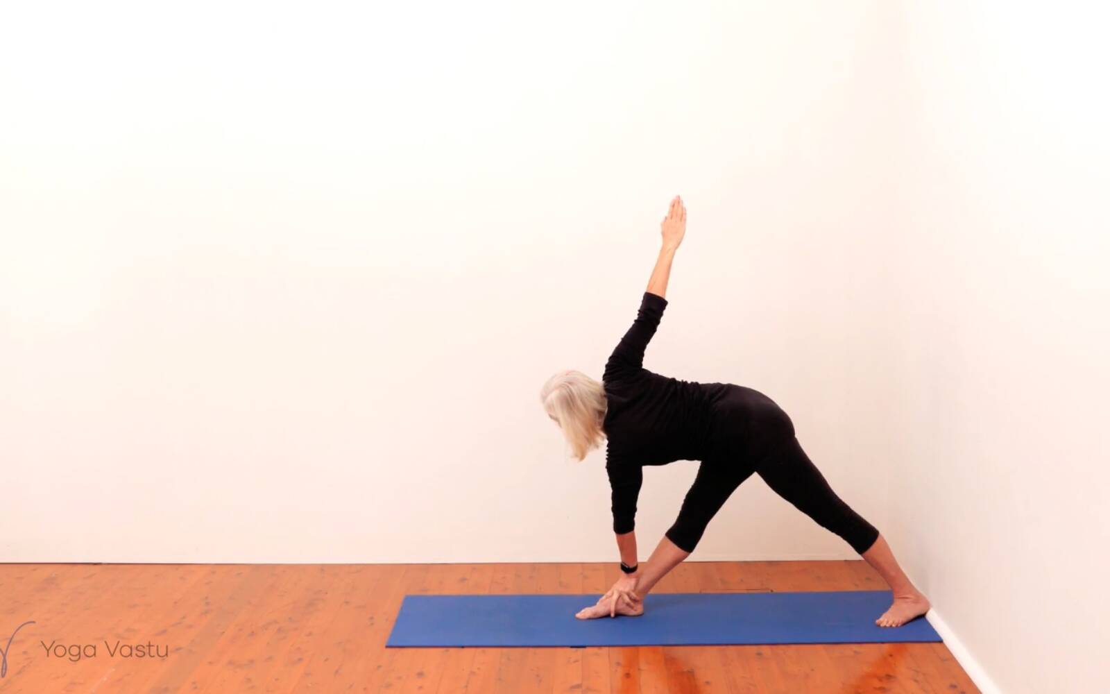Online Iyengar yoga videos | Standing Pose Foundations with Introduction to Twists (Beginners)