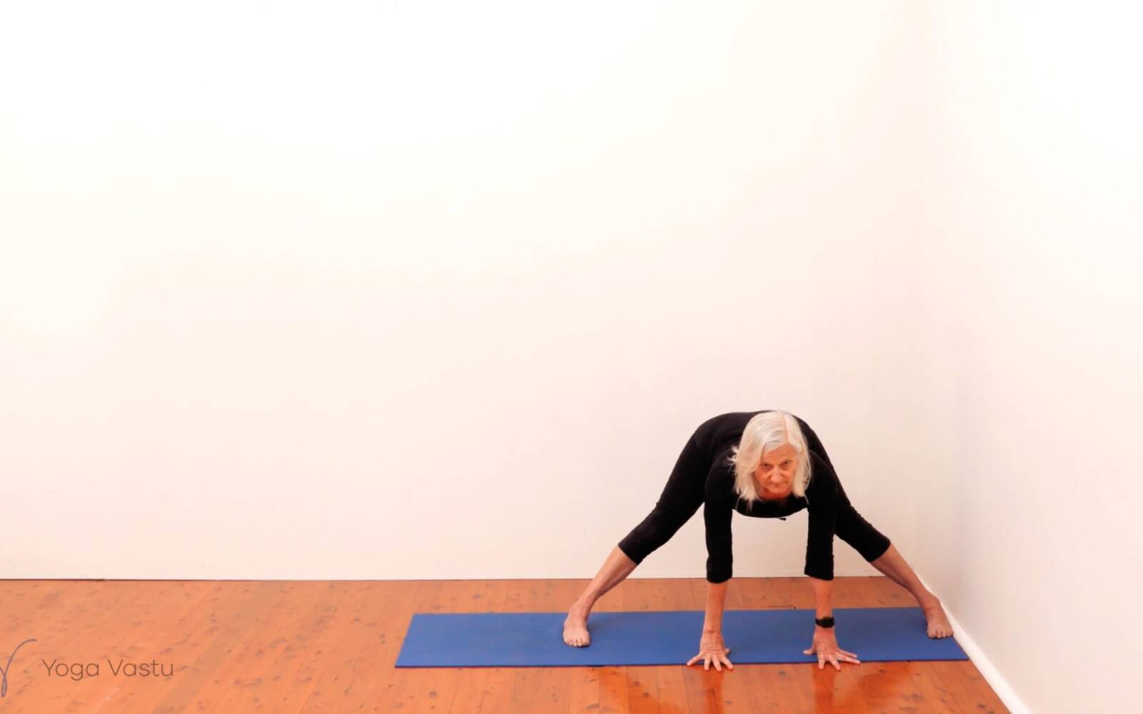 Online Iyengar yoga videos | Standing Pose Foundations with Introduction to Twists (Beginners)