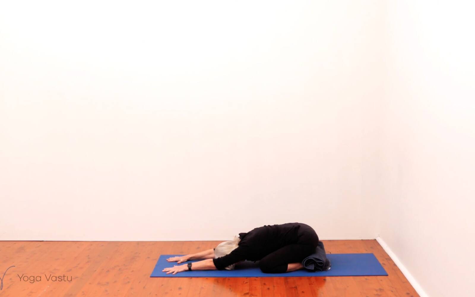 Online Iyengar yoga videos | Standing Pose Foundations with Introduction to Twists (Beginners)