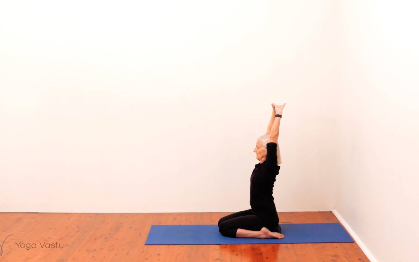 Online Iyengar yoga videos | Standing Pose Foundations with Introduction to Twists (Beginners)