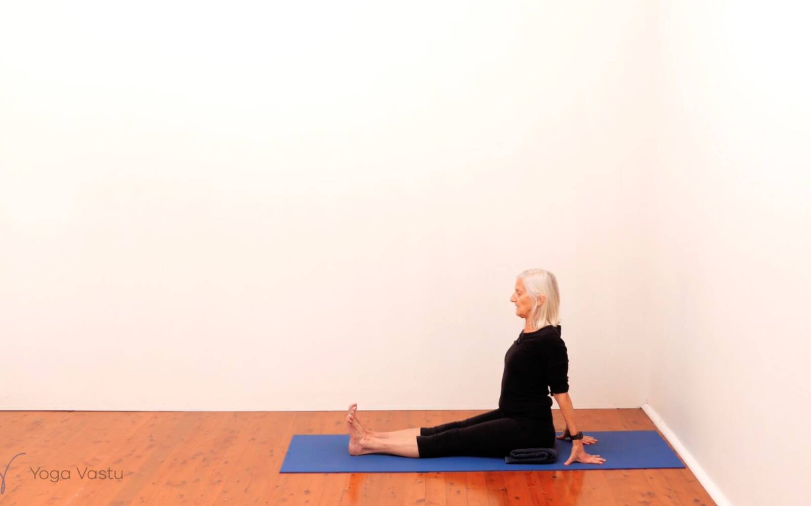 Online Iyengar yoga videos | Standing Pose Foundations with Introduction to Twists (Beginners)