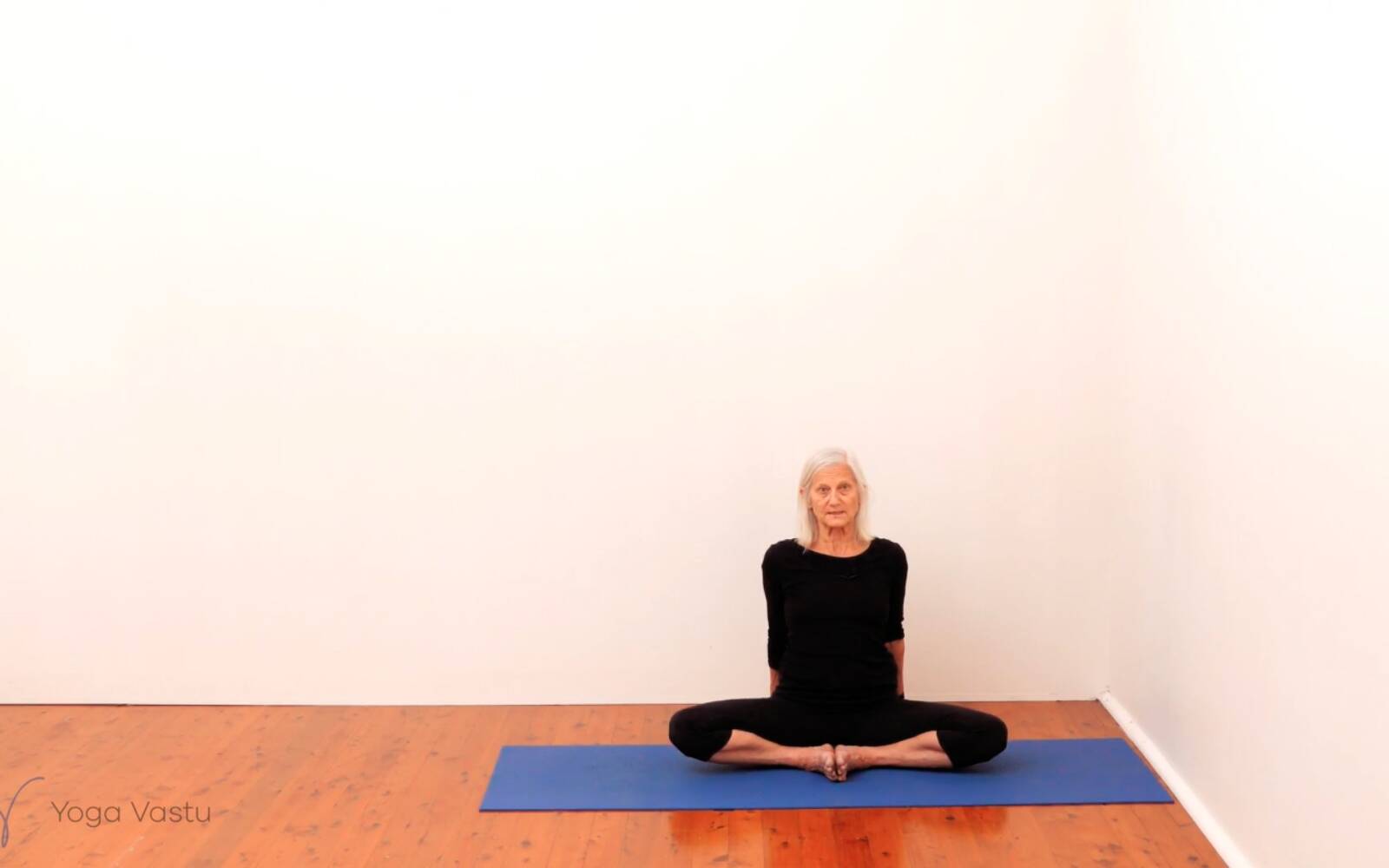 Online Iyengar yoga videos | Standing Pose Foundations with Introduction to Twists (Beginners)