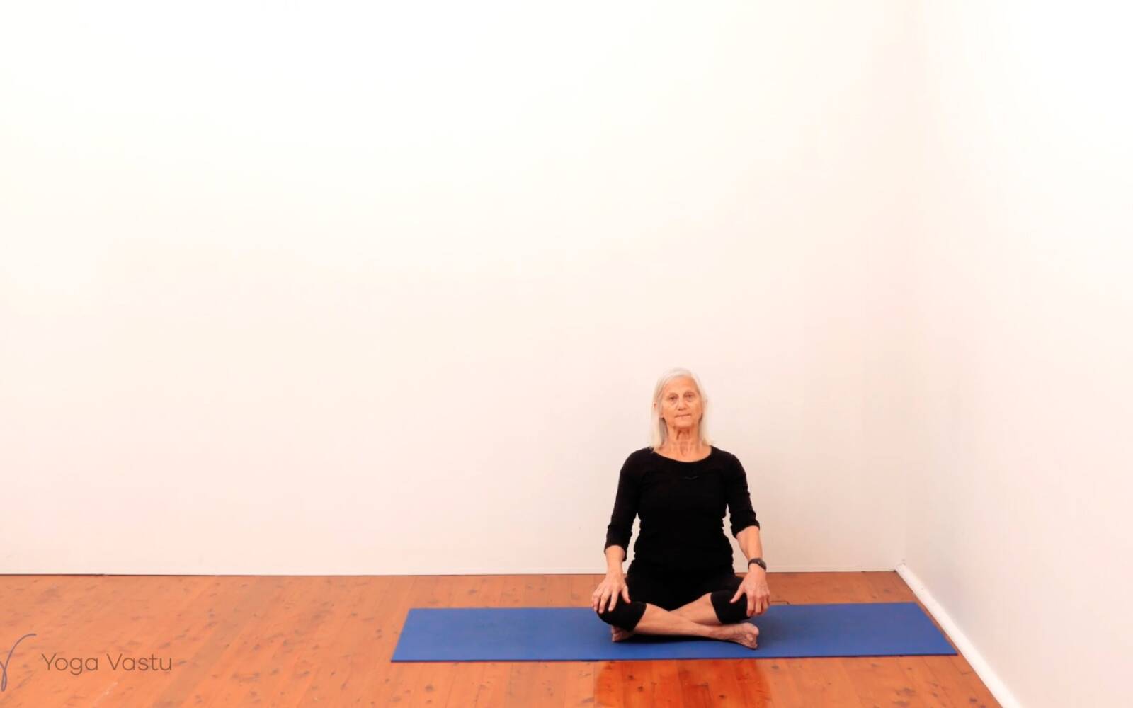 Online Iyengar yoga videos | Standing Pose Foundations with Introduction to Twists (Beginners)