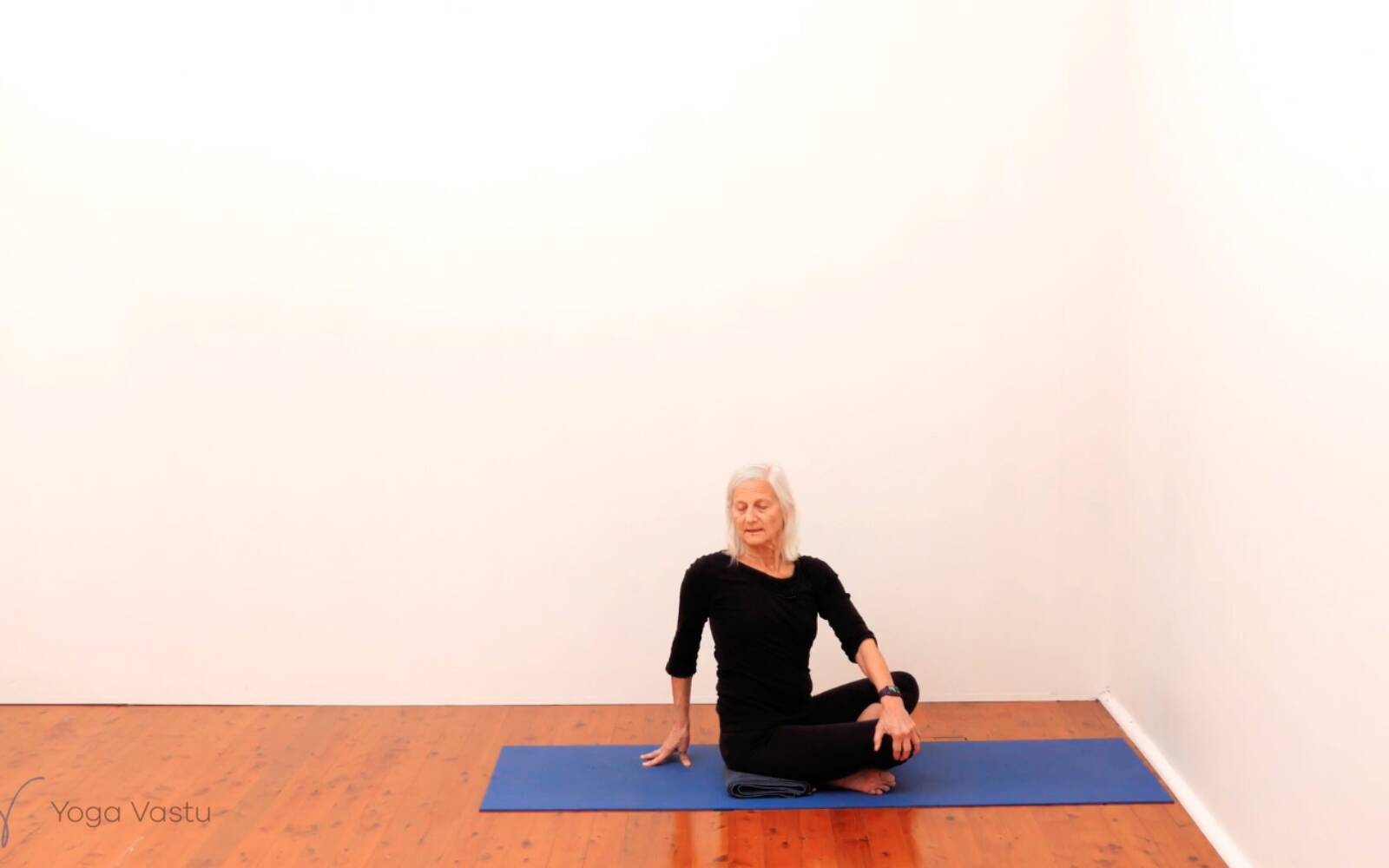 Online Iyengar yoga videos | Standing Pose Foundations with Introduction to Twists (Beginners)