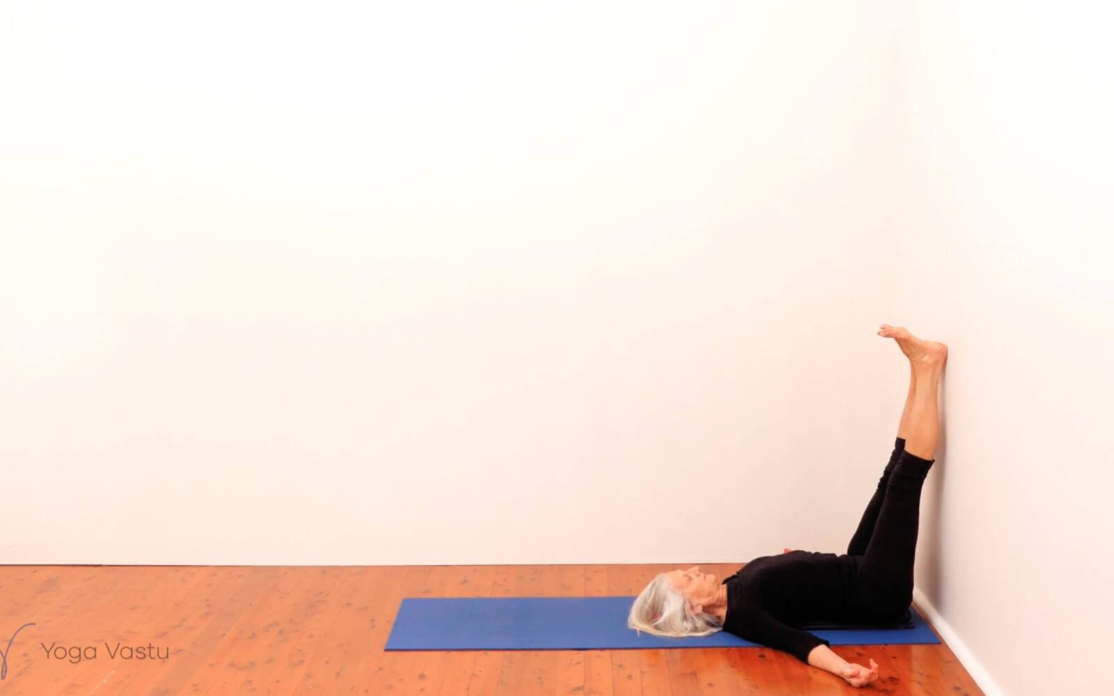 Online Iyengar yoga videos | Standing Pose Foundations with Introduction to Twists (Beginners)