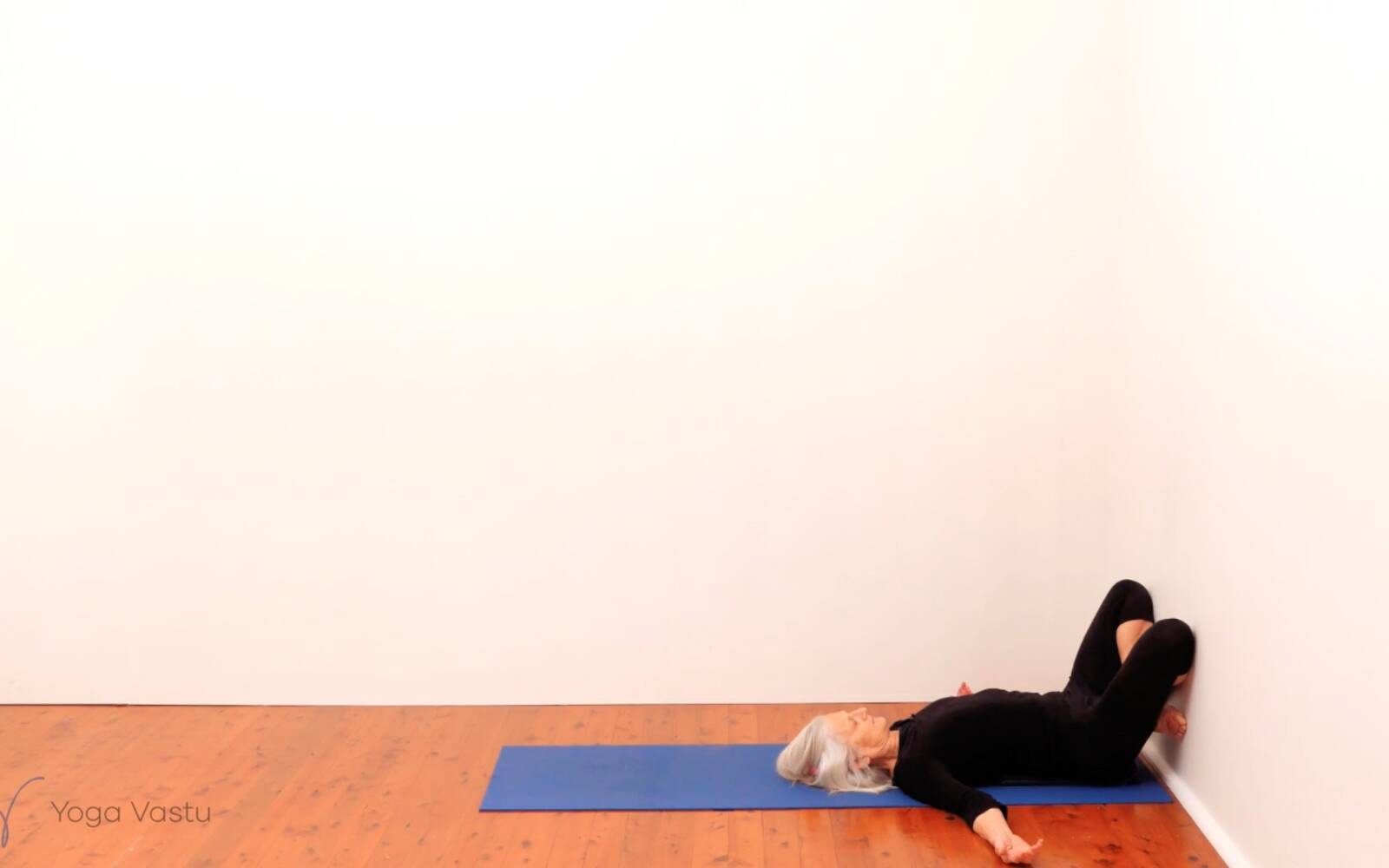 Online Iyengar yoga videos | Standing Pose Foundations with Introduction to Twists (Beginners)