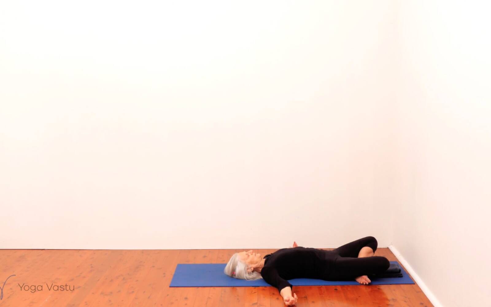 Online Iyengar yoga videos | Standing Pose Foundations with Introduction to Twists (Beginners)