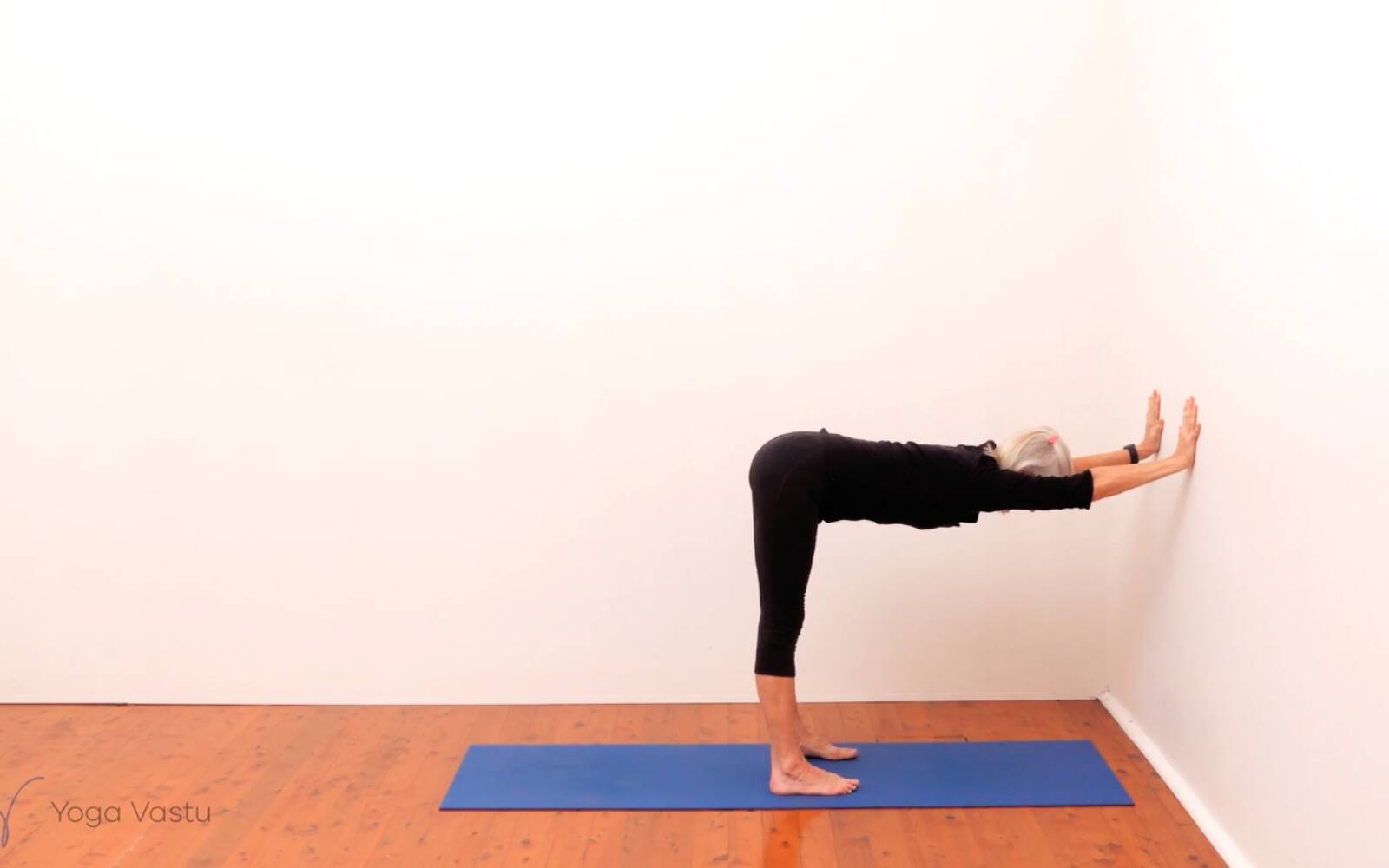 Online Iyengar yoga videos | Standing Pose Foundations with Introduction to Twists (Beginners)