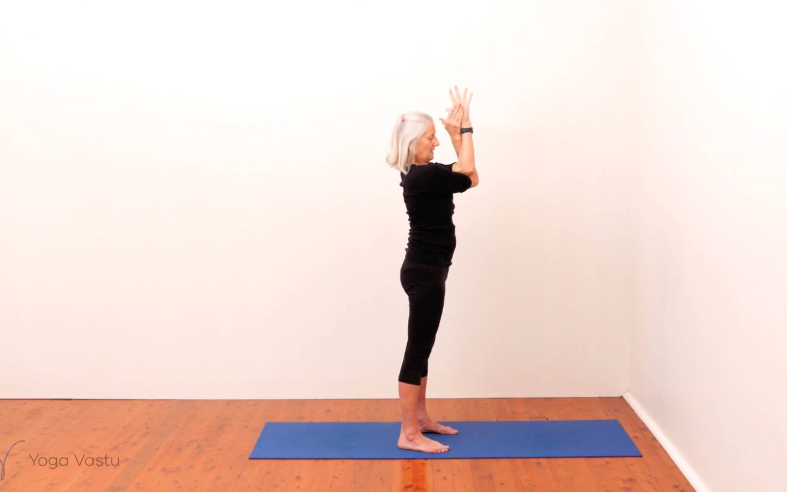 Online Iyengar yoga videos | Standing Pose Foundations with Introduction to Twists (Beginners)