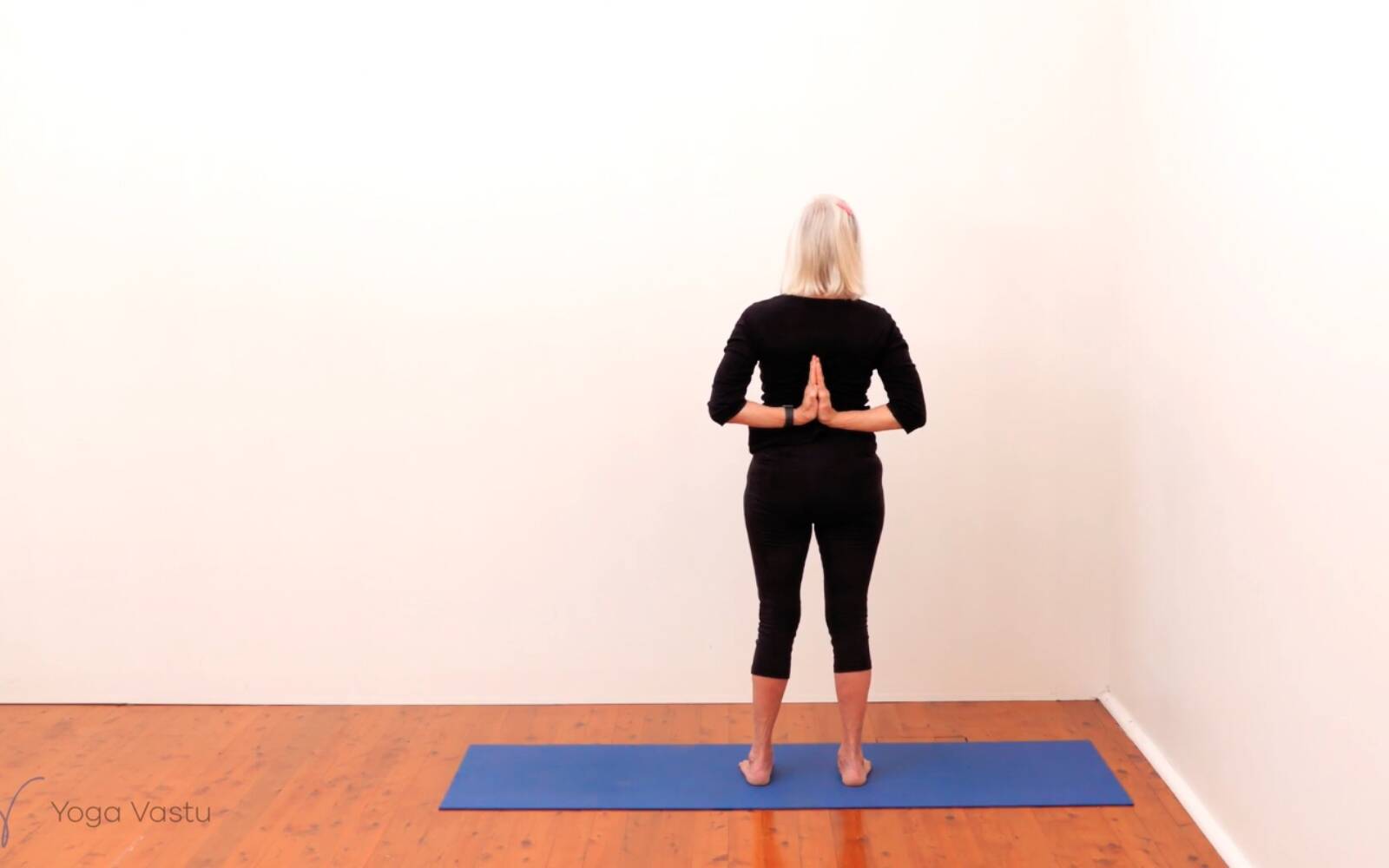 Online Iyengar yoga videos | Standing Pose Foundations with Introduction to Twists (Beginners)