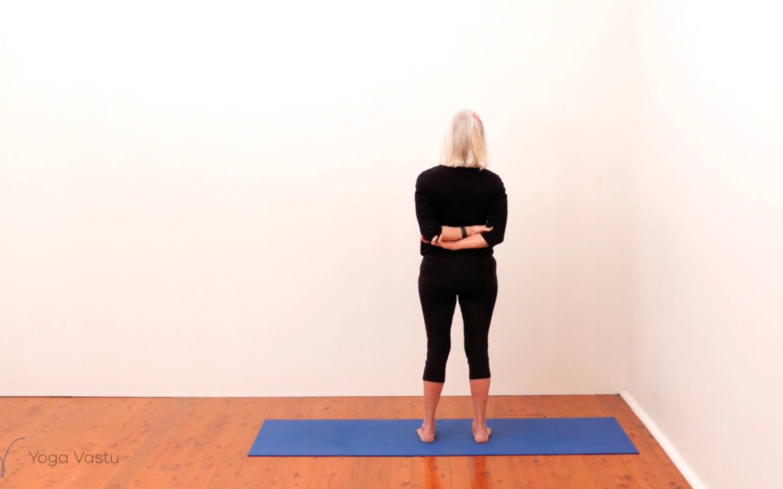 Online Iyengar yoga videos | Standing Pose Foundations with Introduction to Twists (Beginners)