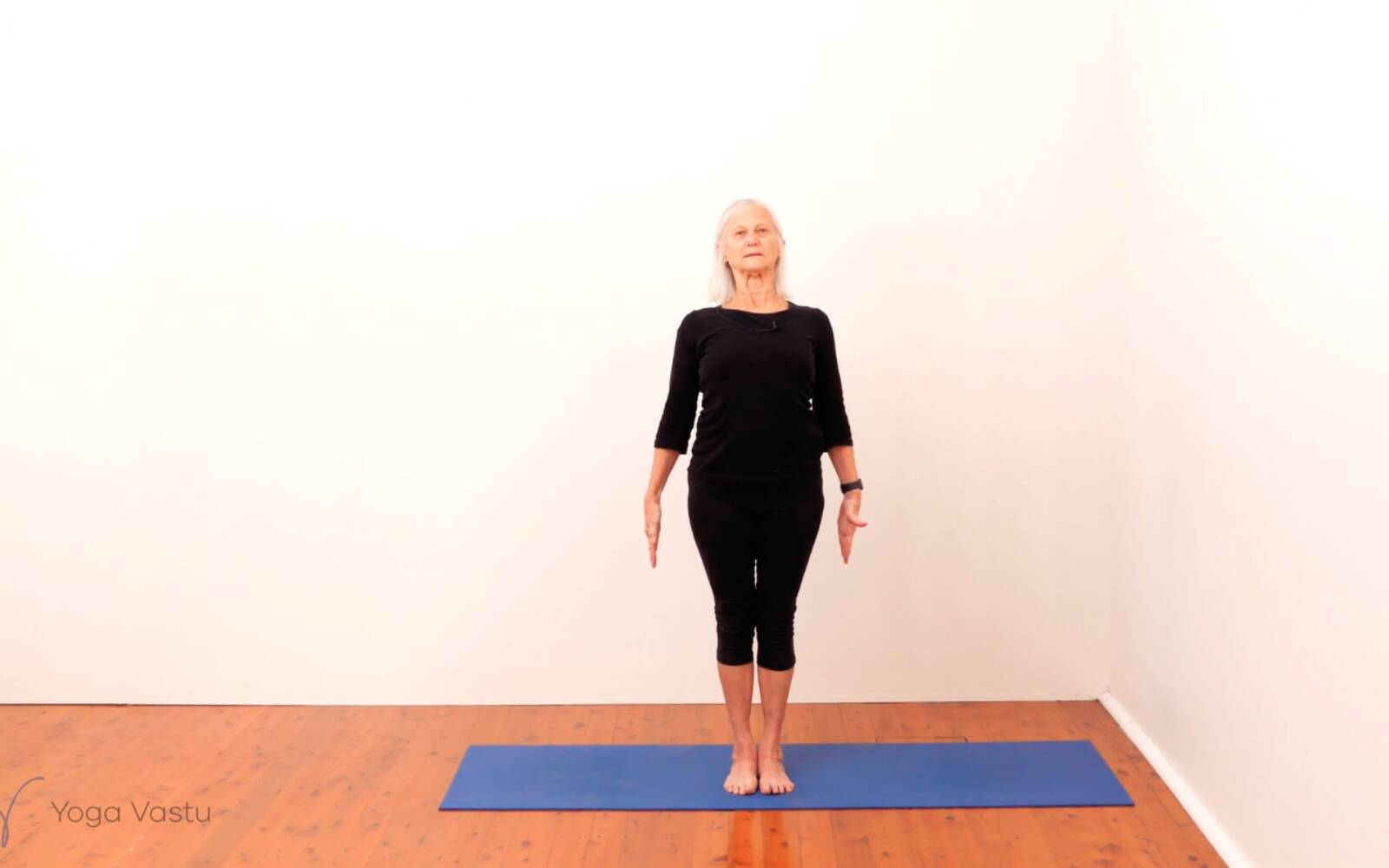 Online Iyengar yoga videos | Standing Pose Foundations with Introduction to Twists (Beginners)