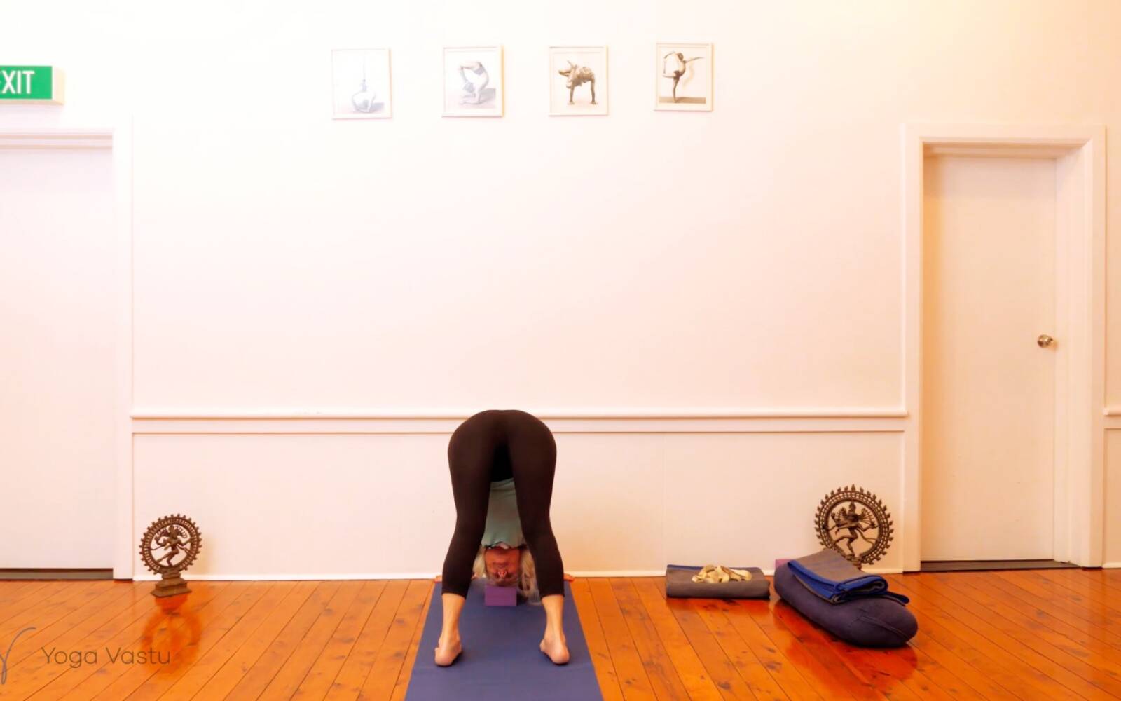 Online Iyengar yoga videos | Restorative: Using Props to Facilitate Observation (Level 3)