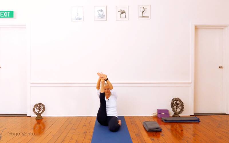 Online Iyengar yoga video thumbnail: Methodical Approach to Observation in Iyengar Yoga (Advanced)