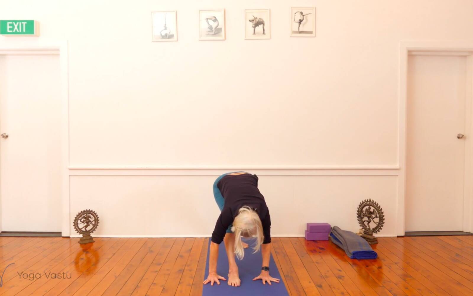 Online Iyengar yoga videos | Practising to Learn in Miscellaneous Yoga (Advanced)