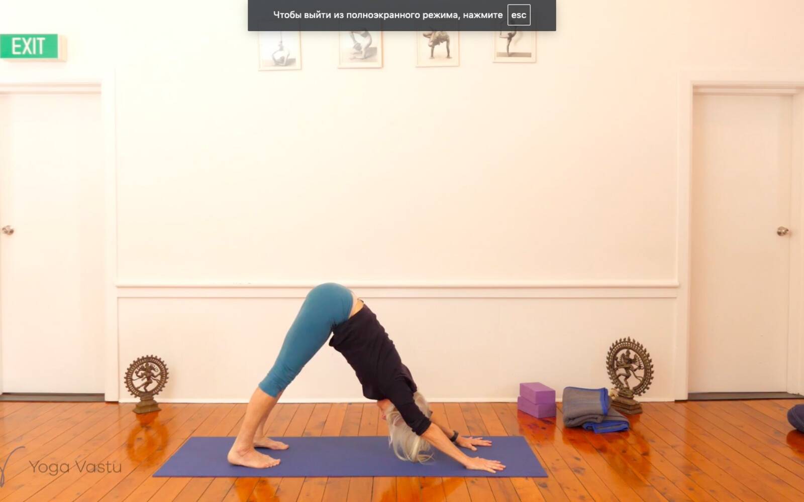 Online Iyengar yoga videos | Practising to Learn in Miscellaneous Yoga (Advanced)
