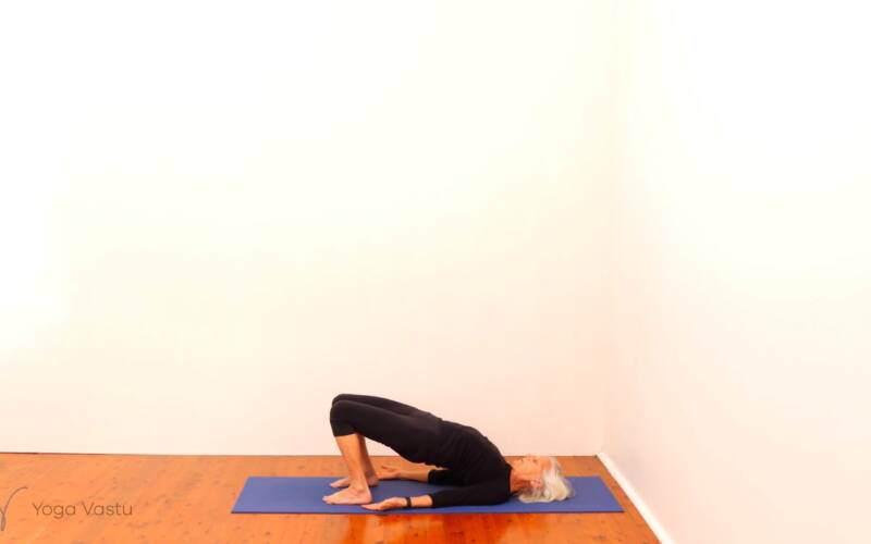 Online Iyengar yoga video thumbnail: Introduction to Backbends with Minimal Props (Beginners)