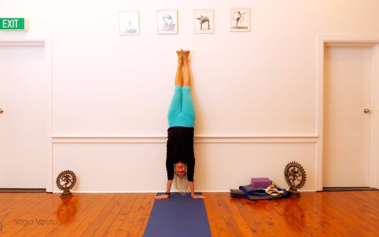 Online Iyengar yoga videos | Seated Poses and Open Twists (Level 1/2)