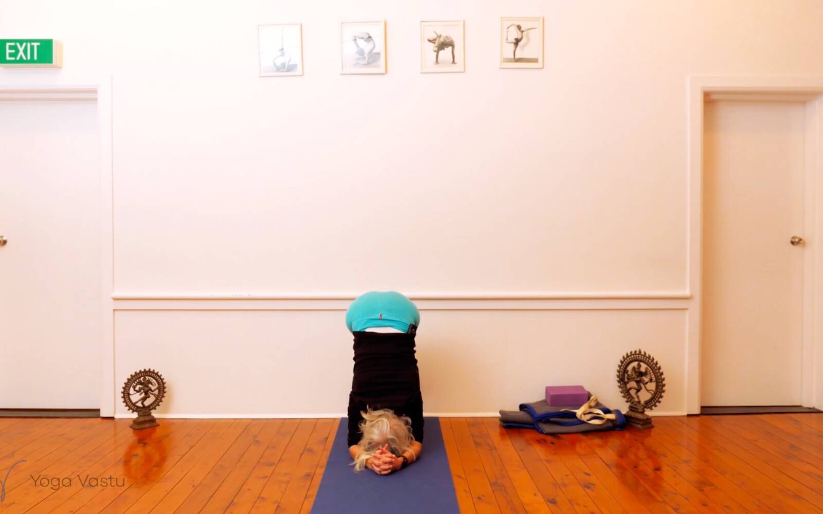 Online Iyengar yoga videos | Seated Poses and Open Twists (Level 1/2)