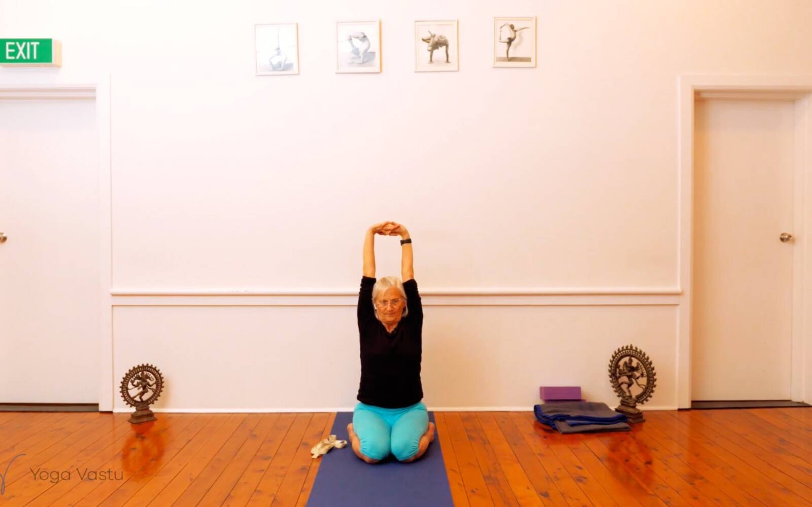Online Iyengar yoga videos | Seated Poses and Open Twists (Level 1/2)