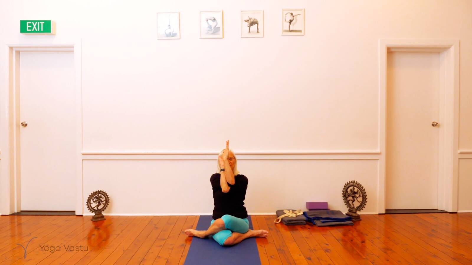 Seated Poses and Open Twists (Level 1/2)