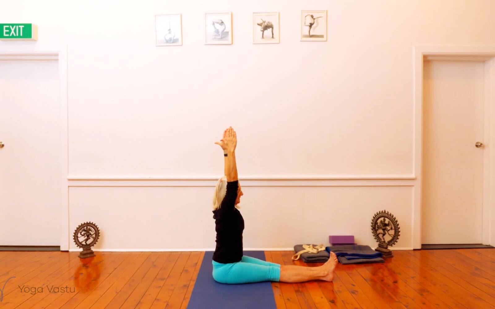 Online Iyengar yoga videos | Seated Poses and Open Twists (Level 1/2)