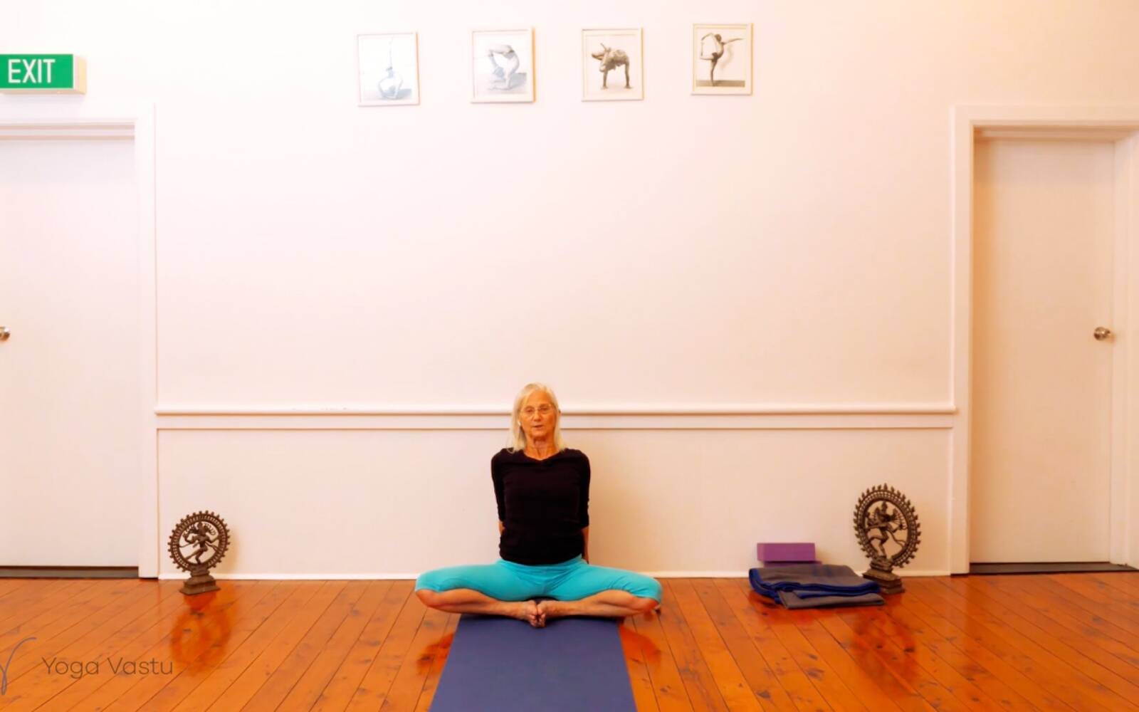 Online Iyengar yoga videos | Seated Poses and Open Twists (Level 1/2)