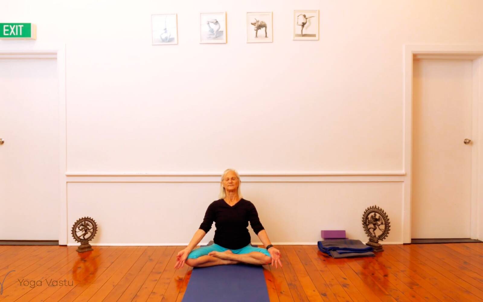 Online Iyengar yoga videos | Seated Poses and Open Twists (Level 1/2)