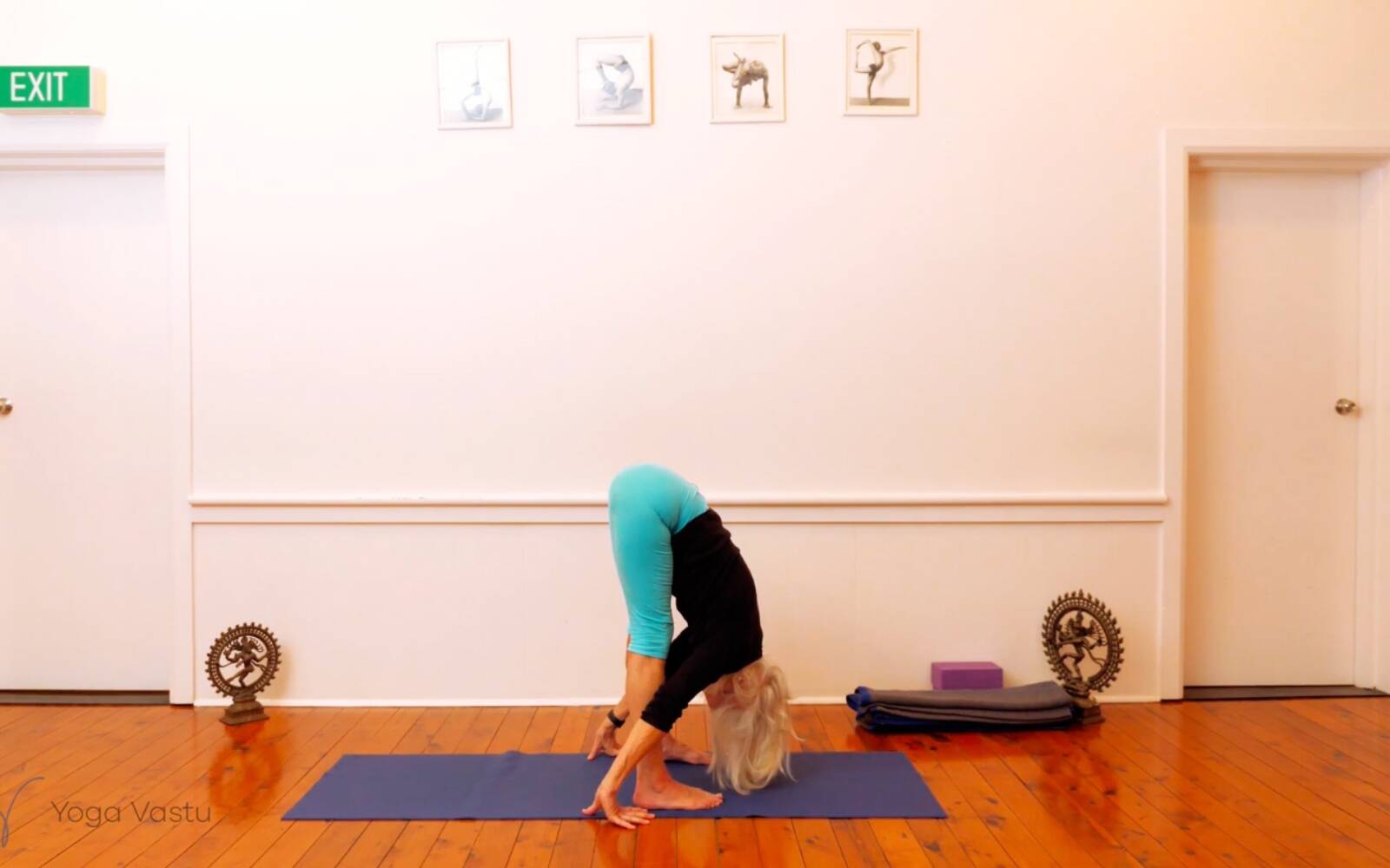 Online Iyengar yoga videos | Seated Poses and Open Twists (Level 1/2)