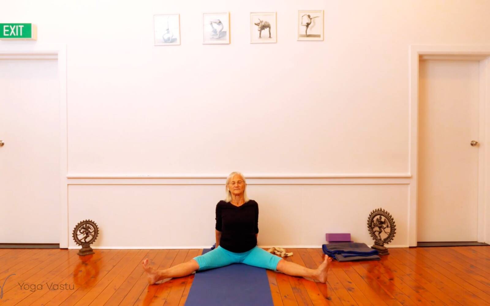 Online Iyengar yoga videos | Seated Poses and Open Twists (Level 1/2)