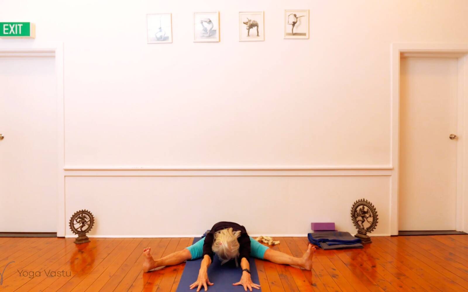 Online Iyengar yoga videos | Seated Poses and Open Twists (Level 1/2)
