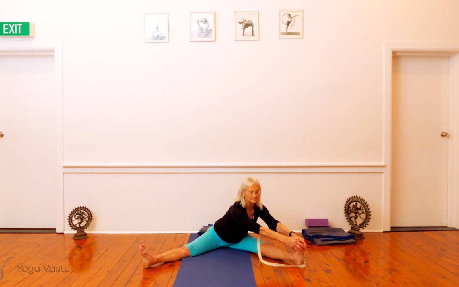 Online Iyengar yoga videos | Seated Poses and Open Twists (Level 1/2)