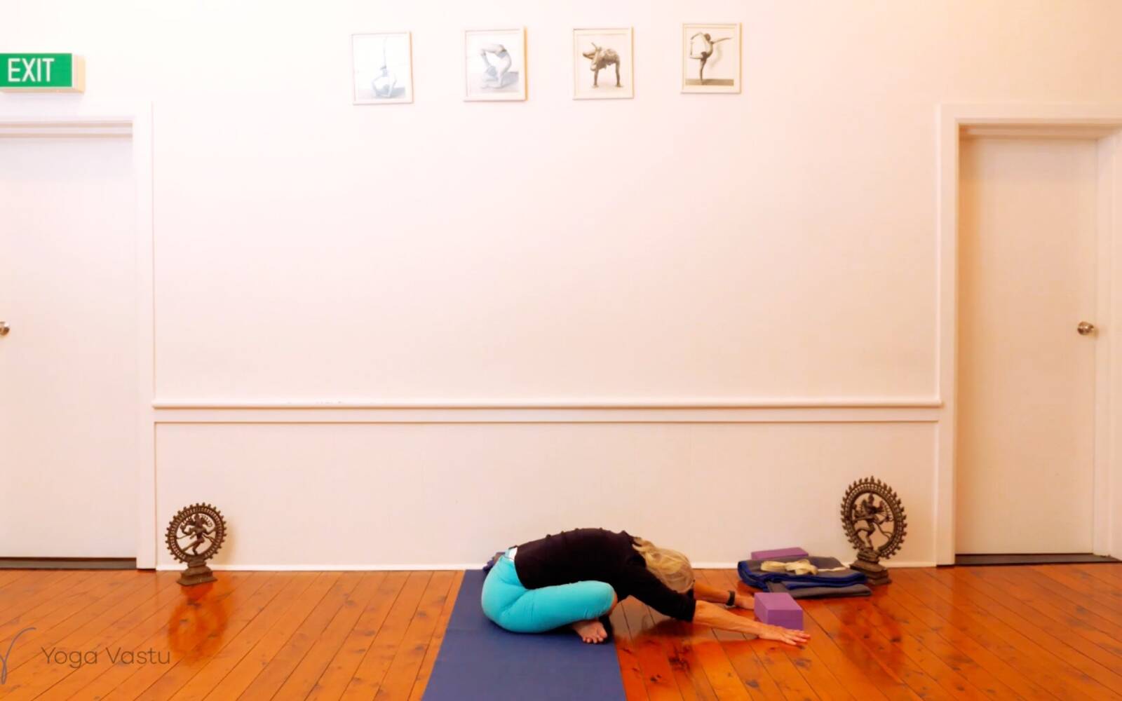 Online Iyengar yoga videos | Seated Poses and Open Twists (Level 1/2)