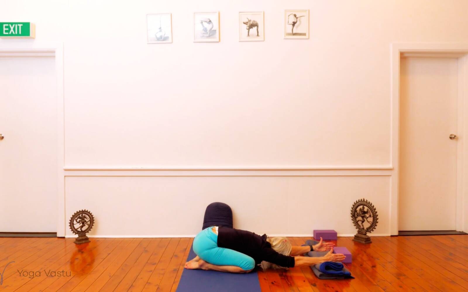 Online Iyengar yoga videos | Seated Poses and Open Twists (Level 1/2)