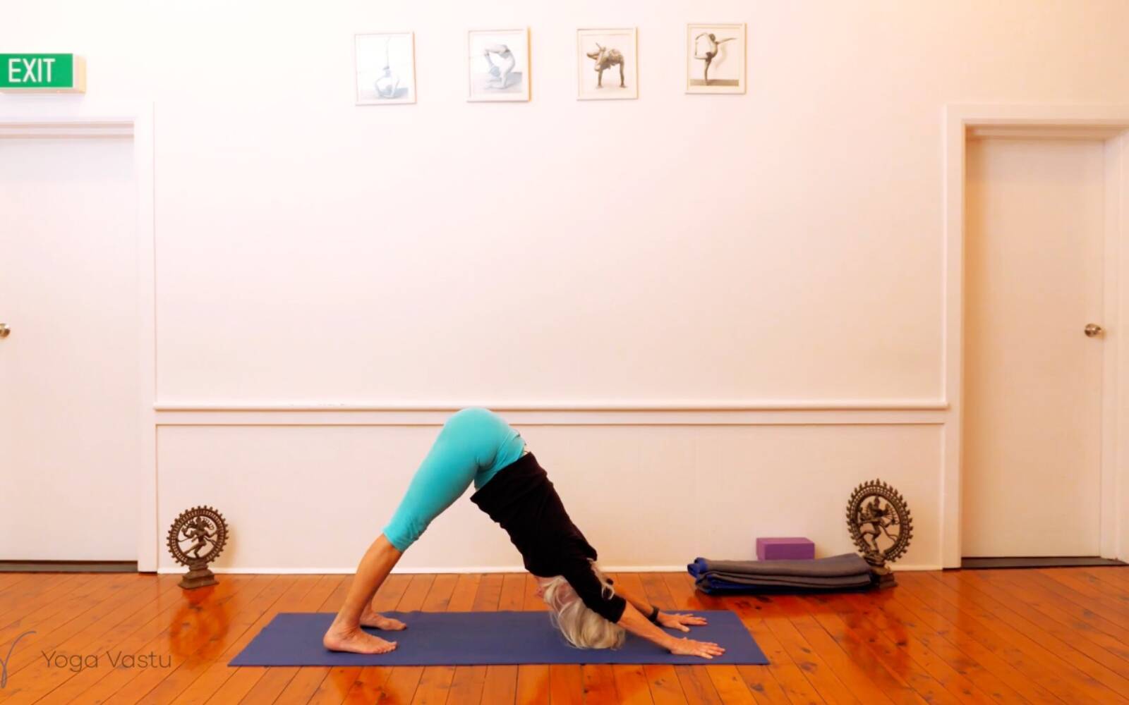 Online Iyengar yoga videos | Seated Poses and Open Twists (Level 1/2)
