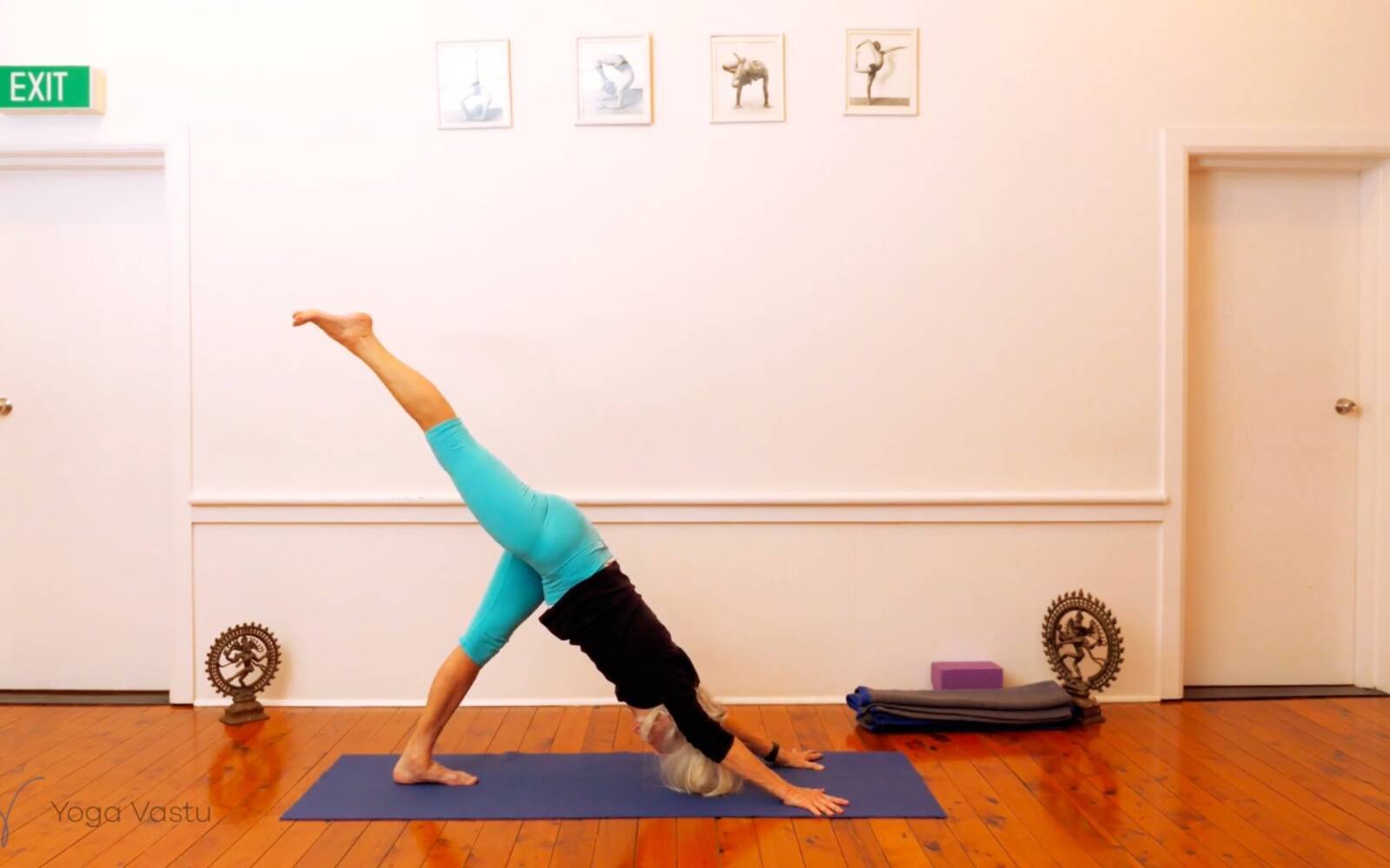 Online Iyengar yoga videos | Seated Poses and Open Twists (Level 1/2)