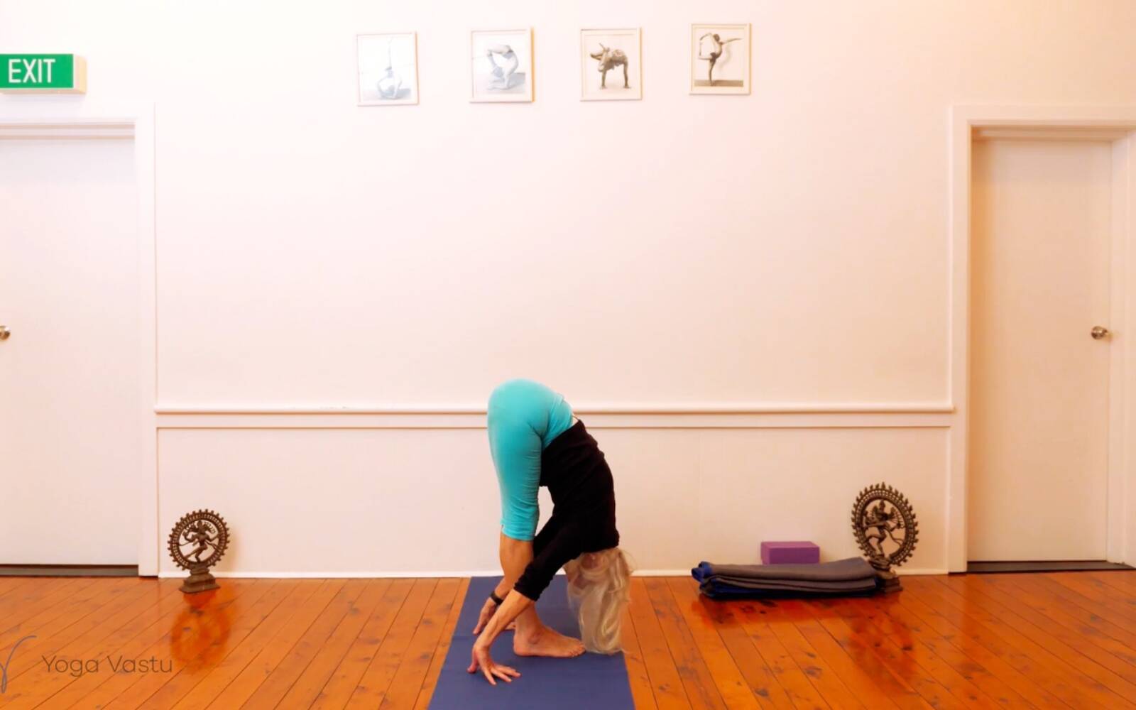 Online Iyengar yoga videos | Seated Poses and Open Twists (Level 1/2)