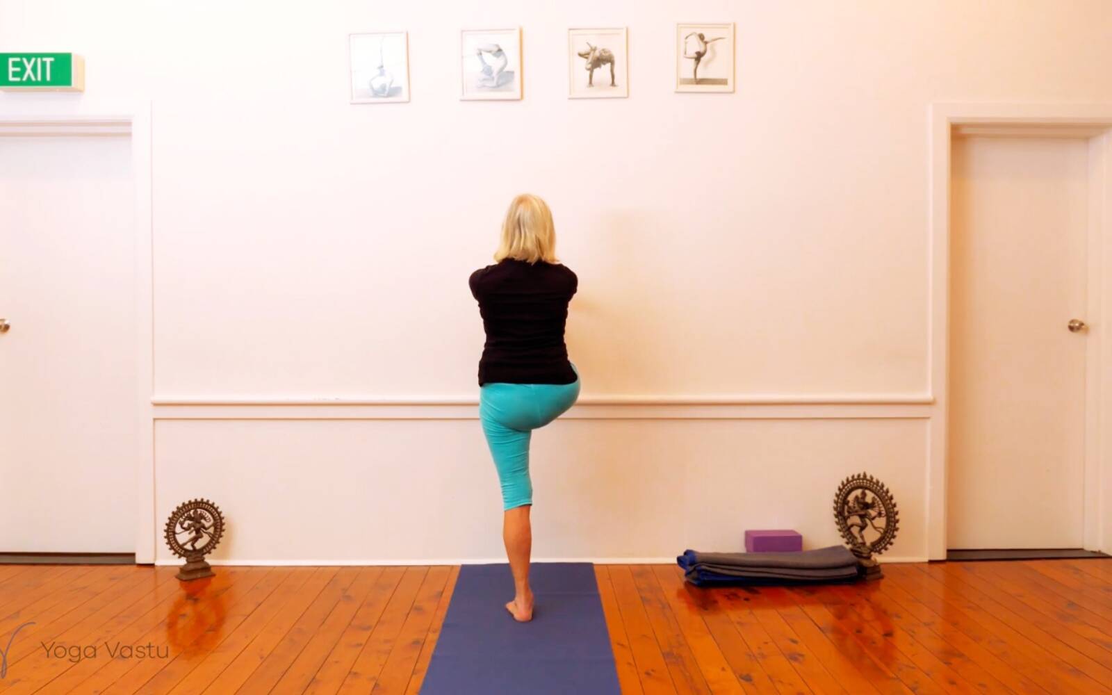 Online Iyengar yoga videos | Seated Poses and Open Twists (Level 1/2)