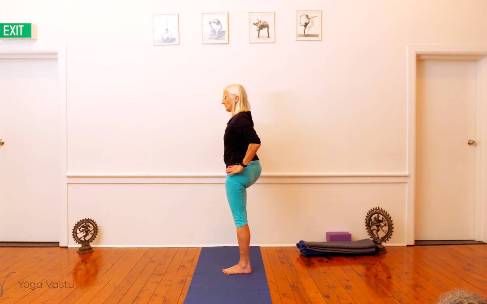 Online Iyengar yoga videos | Seated Poses and Open Twists (Level 1/2)