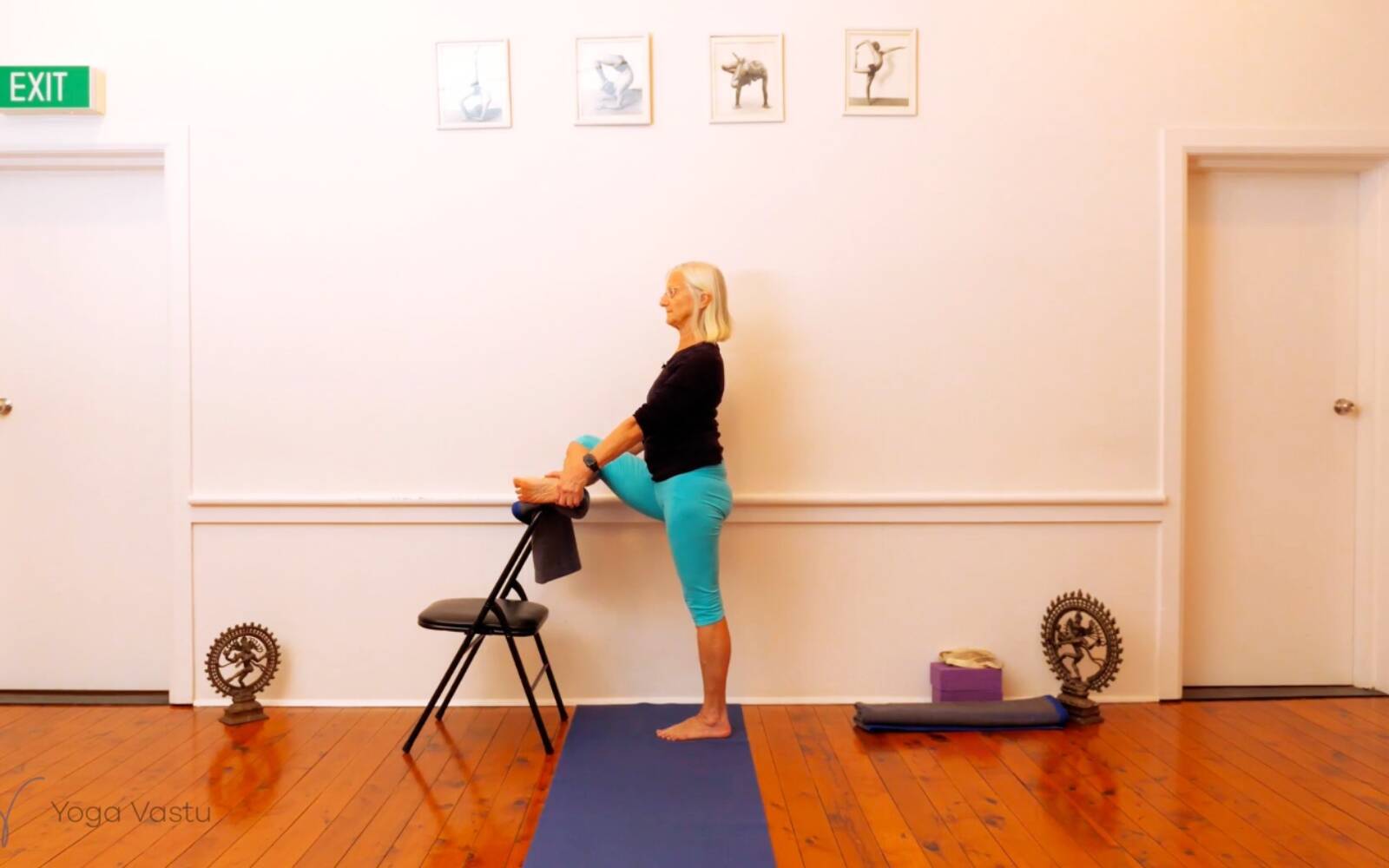 Online Iyengar yoga videos | Seated Poses and Open Twists (Level 1/2)