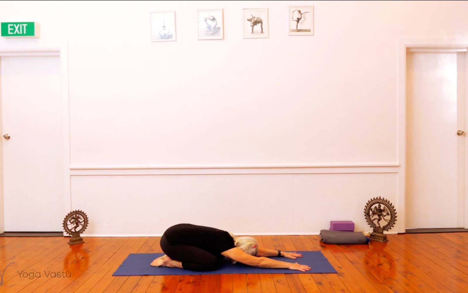 Online Iyengar yoga videos | Trying Out and Observing Different Pose Modifications (Level 3)