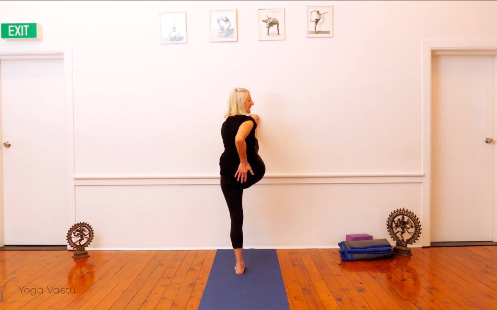 Online Iyengar yoga videos | Trying Out and Observing Different Pose Modifications (Level 3)