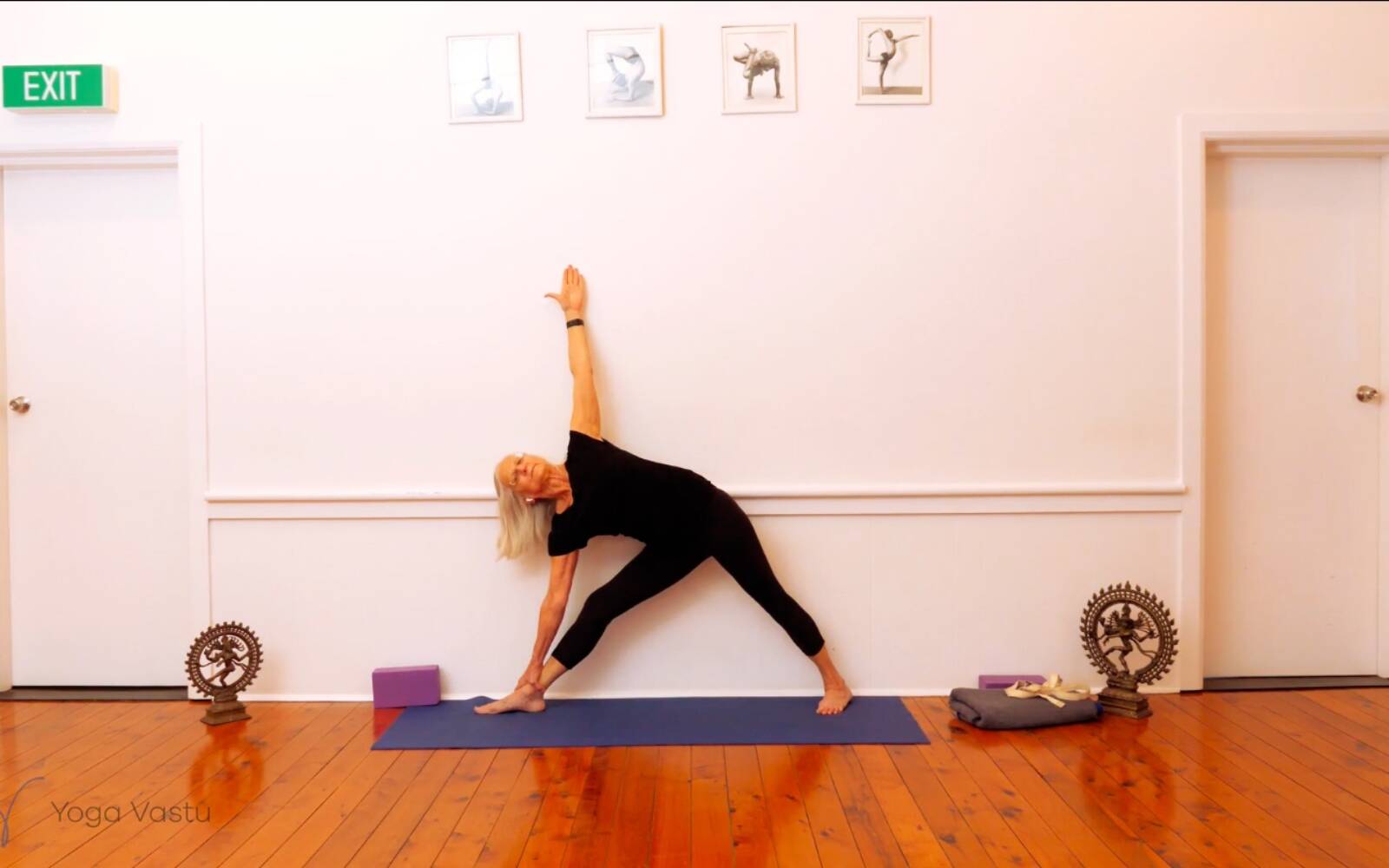Online Iyengar yoga videos | Trying Out and Observing Different Pose Modifications (Level 3)