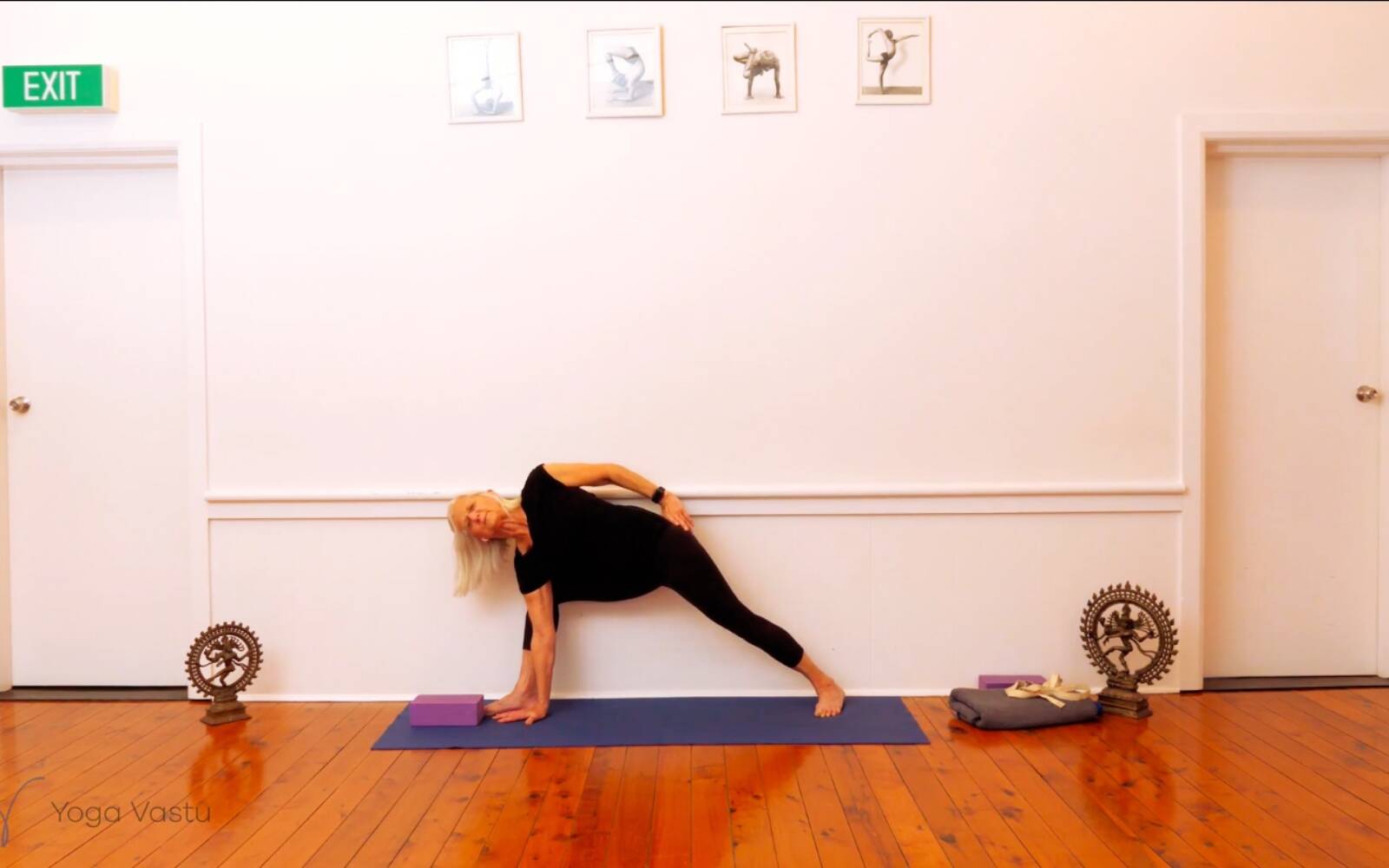 Online Iyengar yoga videos | Trying Out and Observing Different Pose Modifications (Level 3)