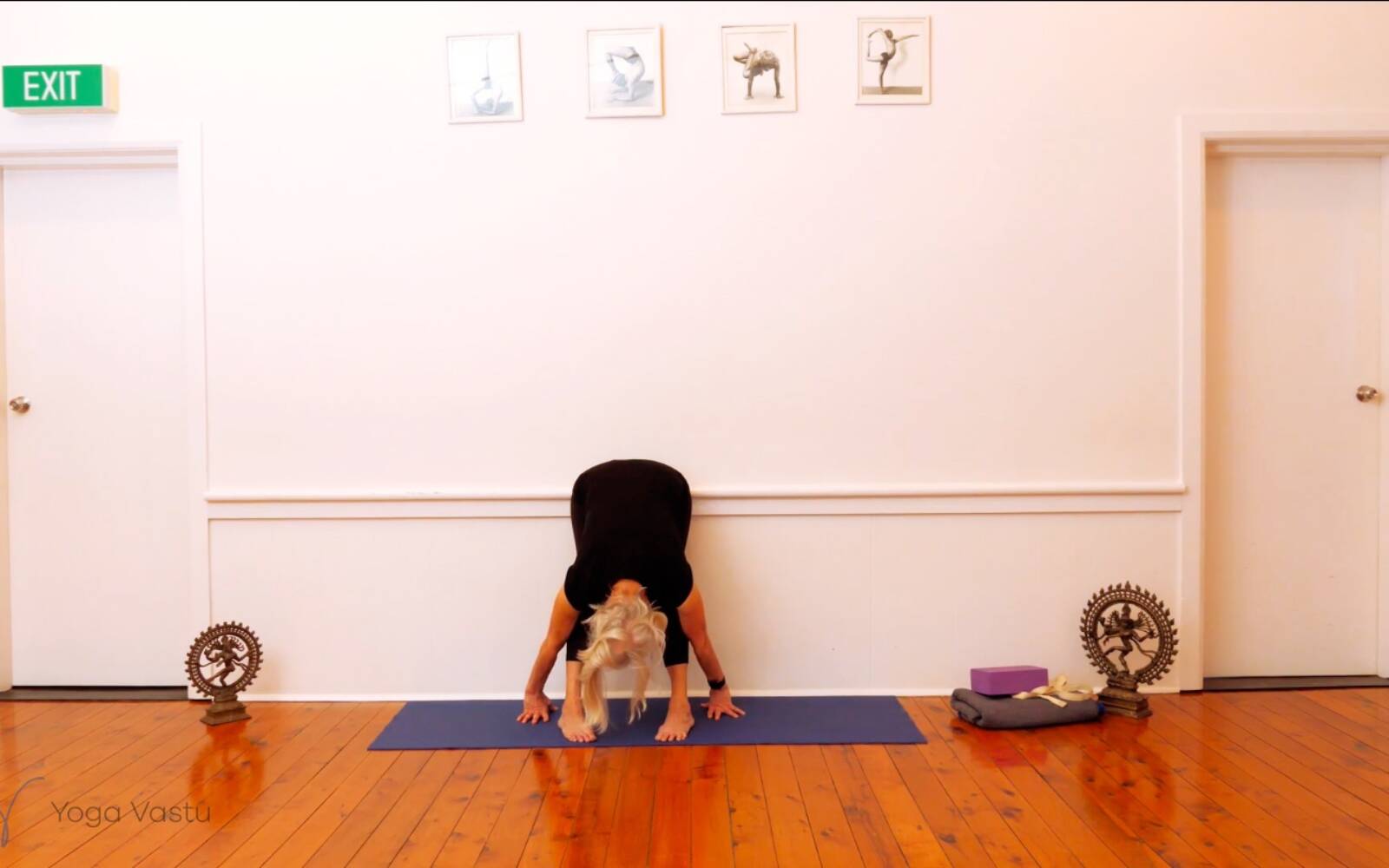 Online Iyengar yoga videos | Trying Out and Observing Different Pose Modifications (Level 3)