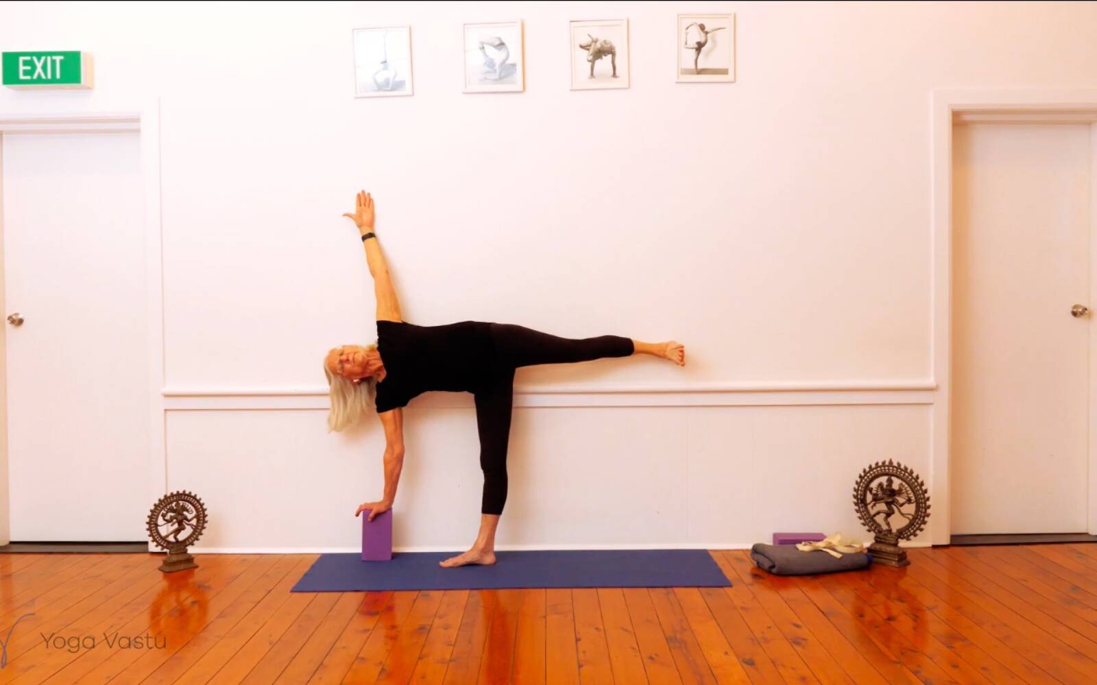 Online Iyengar yoga videos | Trying Out and Observing Different Pose Modifications (Level 3)